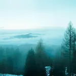 Frauenalpe * Sankt Lorenzen ob Murau
