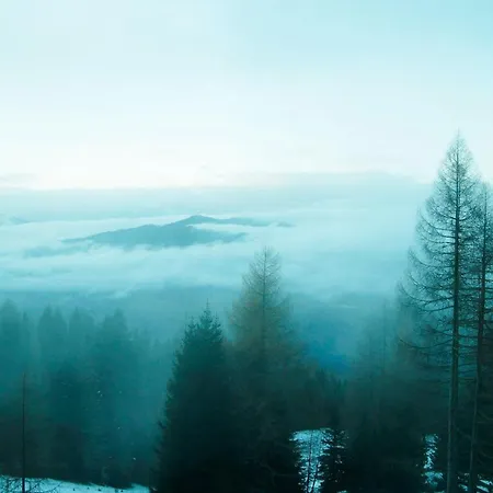 Frauenalmresort - * Sankt Lorenzen ob Murau