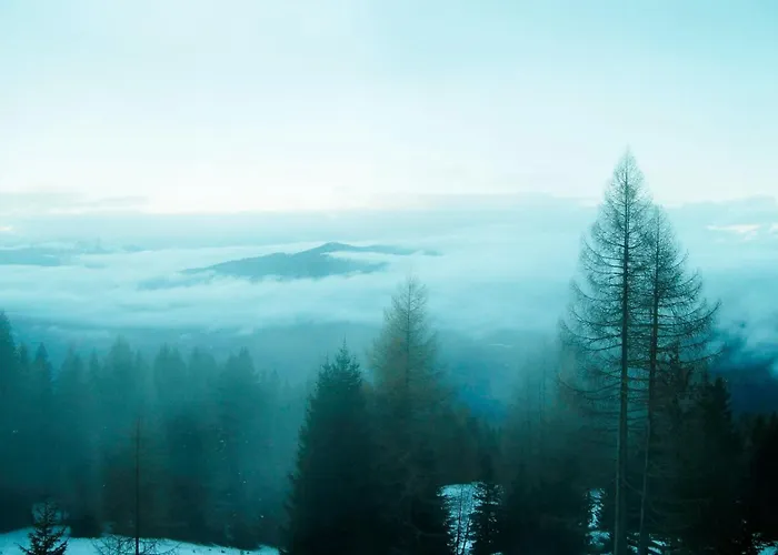 Frauenalpe * Sankt Lorenzen ob Murau